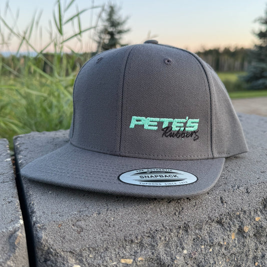 Embroidered Snapback